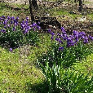 Meet your Posher, Debra